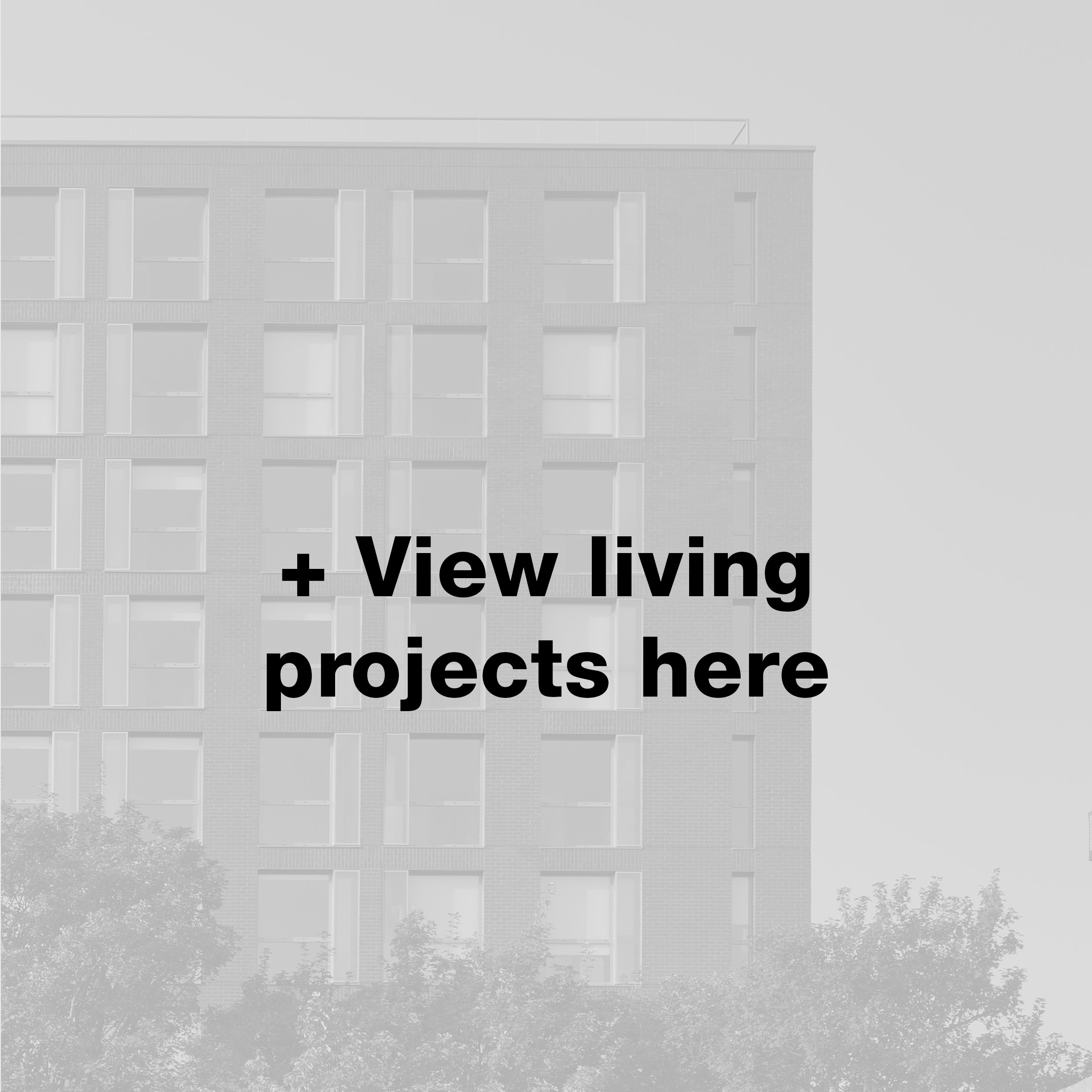 living-projects-here.jpg#asset:10531